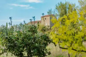 Laruga Yoga - Ashtanga Yoga Retreat - Tuscany Italy