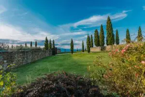 Laruga Yoga - Ashtanga Yoga Retreat - Tuscany Italy