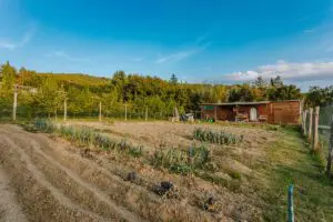 Laruga Yoga - Ashtanga Yoga Retreat - Tuscany Italy