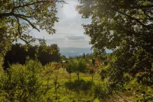 Laruga Yoga - Ashtanga Yoga Retreat - Tuscany Italy