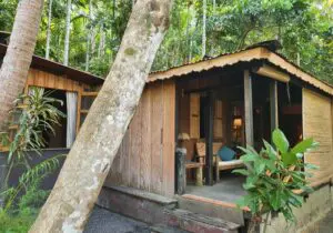 Ashtanga Yoga Sanctuary Retreat - Andaman Islands