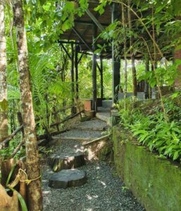 Ashtanga Yoga Sanctuary Retreat - Andaman Islands