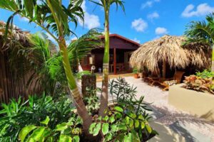 Ashtanga Yoga Retreat - Bonaire, Caribbean Islands