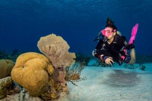 Ashtanga Yoga Retreat - Bonaire, Caribbean Islands