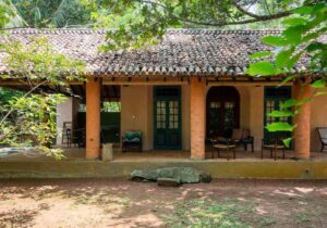 Ashtanga Yoga Retreat Kosgoda Sri Lanka 2024